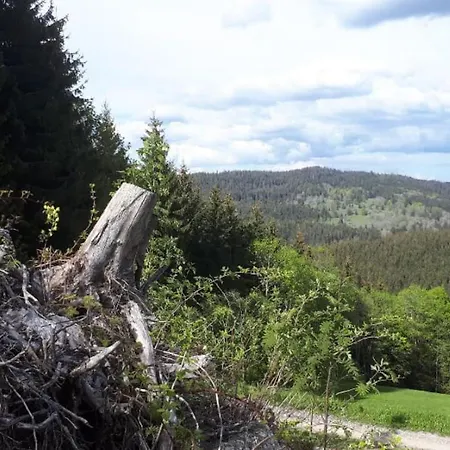 Apartmán Schaefer Im Almberg App. 11
