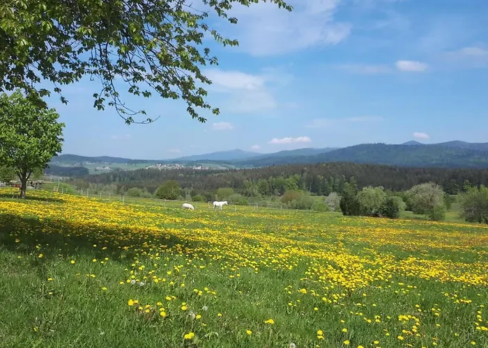 Schaefer Im Almberg App. 11 * Philippsreut