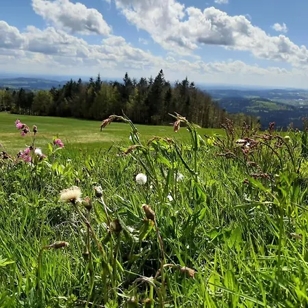 Schäfer Im Almberg App. 11 Apartment Philippsreut