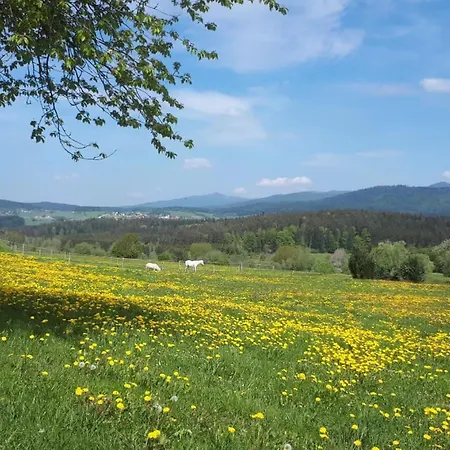 Schäfer Im Almberg App. 11 * Philippsreut