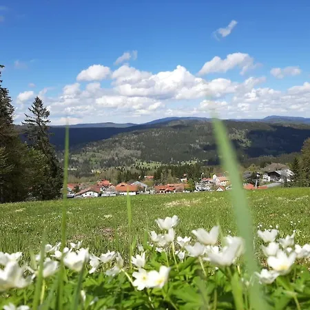 Schäfer Im Almberg App. 11 Philippsreut