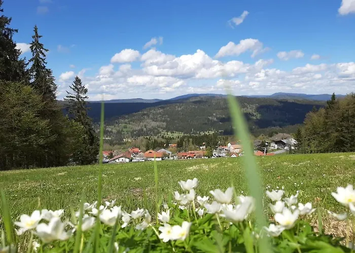 Schaefer Im Almberg App. 11 فيليبسغويت